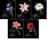 Тетрадь 80л кл. "Flowers on black" выб.лак, ассорти, Hatber