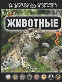 Животные