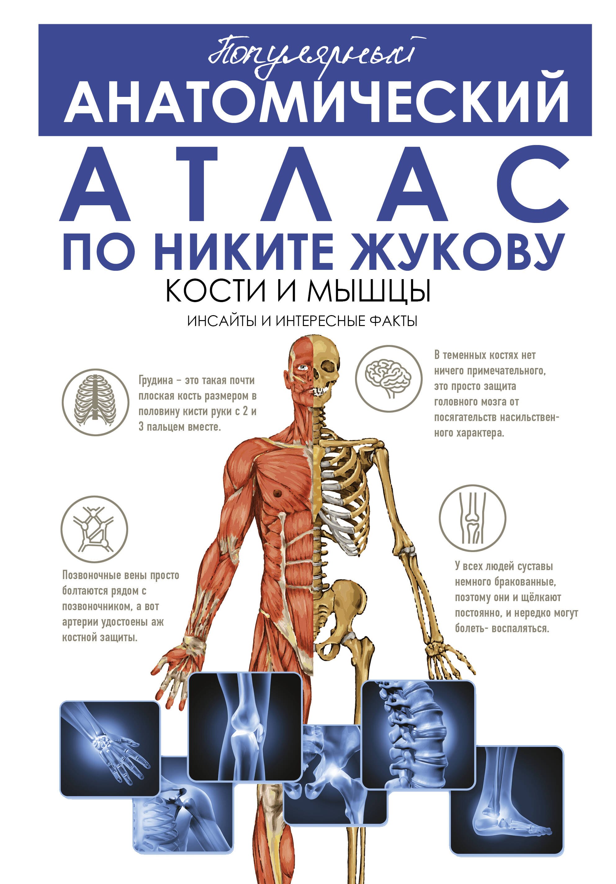 Популярный анатомический атлас по Никите Жукову. Кости и мышцы. Инсайты и интересные факты
Популярный анатомический атлас по Никите Жукову. Кости и мышцы. Инсайты и интересные факты