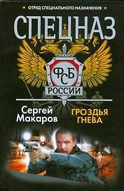 Спецназ ФСБ. Гроздья гнева: роман