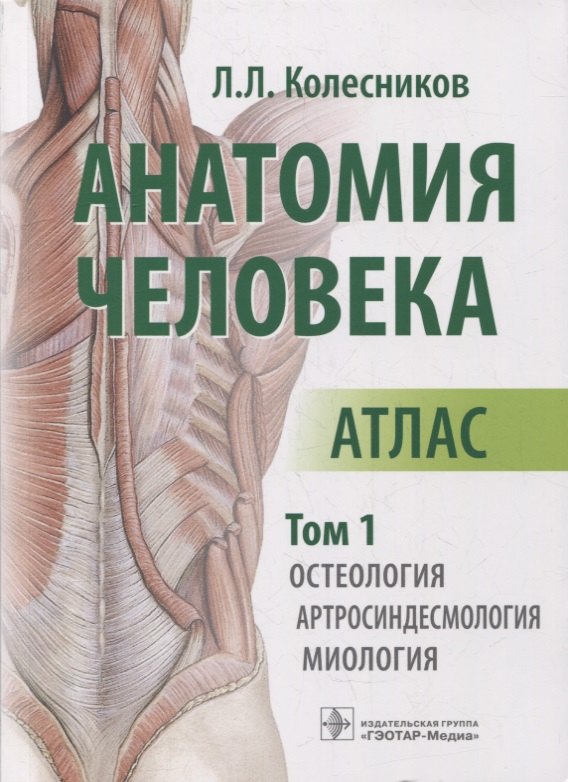 Анатомия человека: атлас: в 3-х томах. Том 1. Остеология, артросиндесмология, миология
Анатомия человека: атлас: в 3-х томах. Том 1. Остеология, артросиндесмология, миология