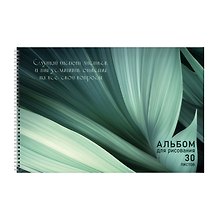 Альбом для рисования 30л А4 "Шепот листьев" гребень, мел.картон, выб.лак