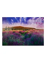 Альбом для рисования Unnika, "Лавандовое поле", А4, 20 листов, на склейке