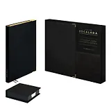 Ежедневник недат. А5 160л "Шеврет глосс" черный, мягк.переплёт, иск.кожа, подставка с бум.блоком с ПВХ-крышкой