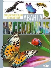 Насекомые