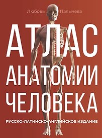 Атлас анатомии человека. Русско-латинско-английское издание