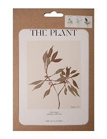 Набор постеров 13*18 "The Plant", 3 штуки