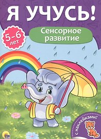 Сенсорное развитие (5-6 лет)