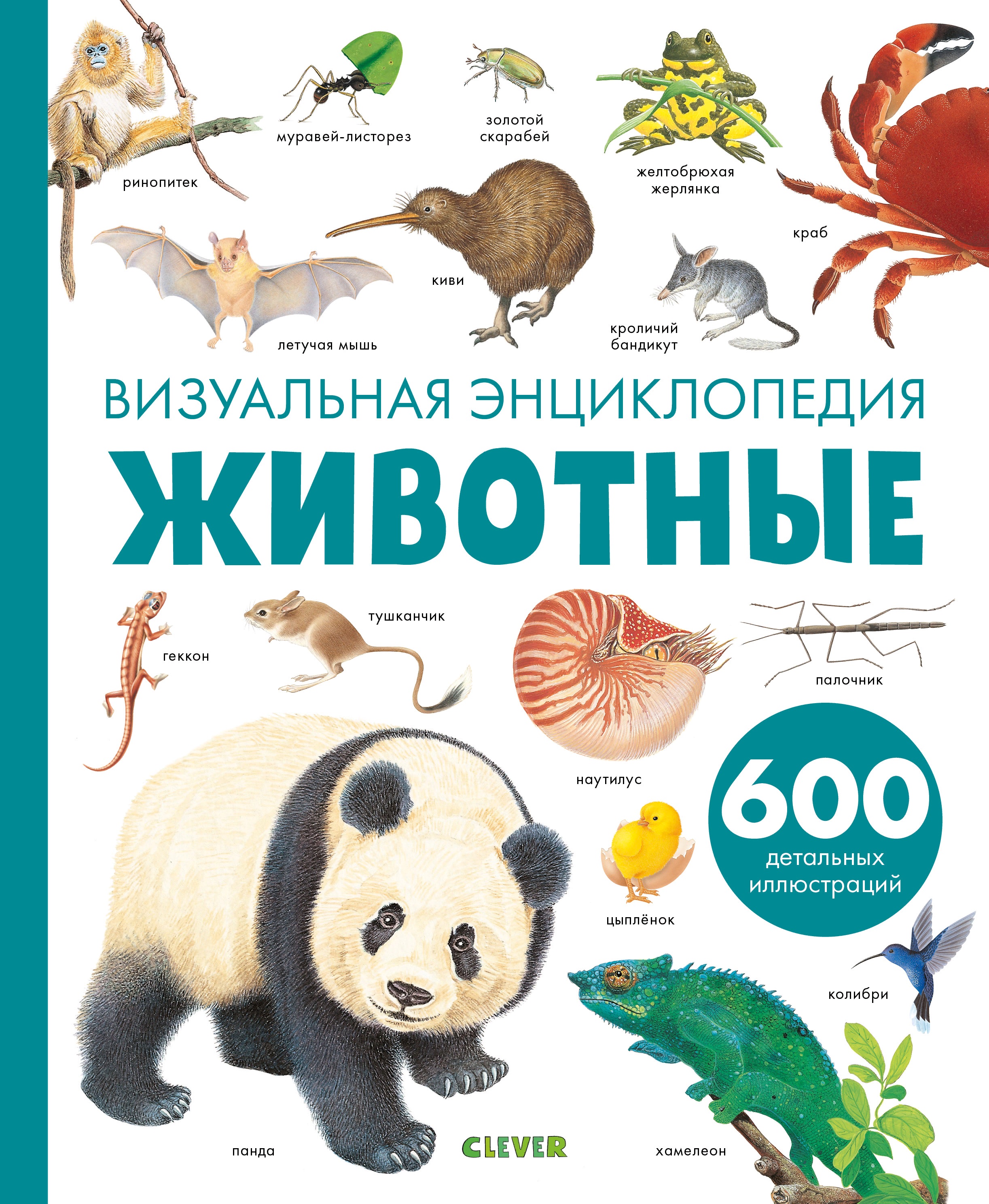 Животные. Визуальная энциклопедия
Животные. Визуальная энциклопедия