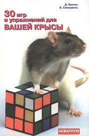30 игр и упражнений для вашей крысы