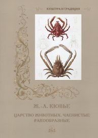 Царство животных. Членистые. Ракообразные