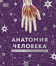 Анатомия человека. Энциклопедия DK