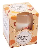 Свеча ароматическая в стакане Autumn Vibes (120г) (коробка)