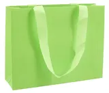 Пакет А5 21*27,5*8 "Neon.Green" горизонт., нейтр.