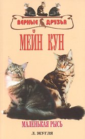 Мейн кун