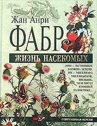 Жизнь насекомых: Современная версия
