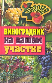 Виноградник на вашем участке