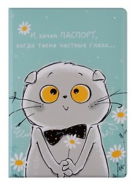 Обложка на паспорт «Басик. И зачем паспорт»