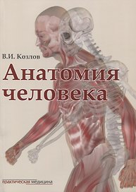 Анатомия человека: учебник