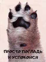 Книга для записей А6 80л кл. "Просто погладь" инт.переплет, ламинация soft touch, выб.УФ-лак, офсет