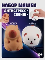 Набор Антистресс мяшка Котик в пластиковой коробке (15-01839-7584) (3+)+Антистресс мяшка Капибара (упаковка) (15-2255-8788)
