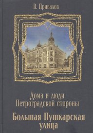 Большая Пушкарская улица