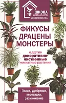 Фикусы, драцены, монстеры и другие декоративно-лиственные комнатные растения