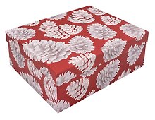 Коробка подарочная "Шишки" 25*20*9