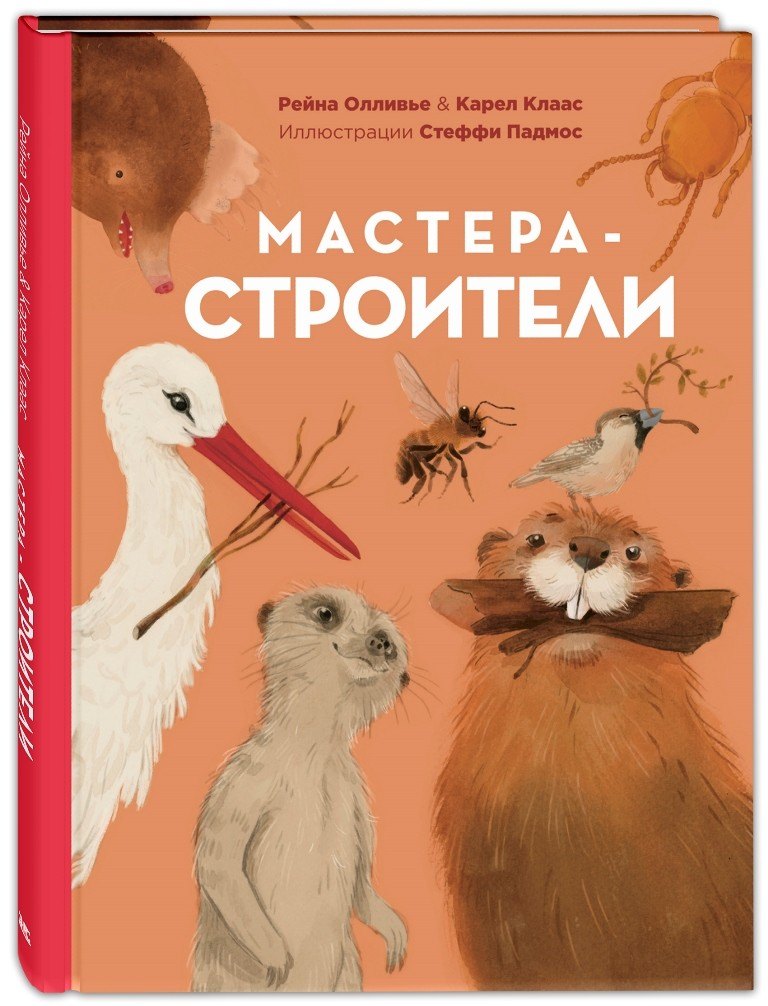 Мастера-строители 
Мастера-строители