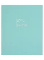 Книга для записей А5+ 96л кл. "Летняя песня" интеграл.перепл., матов.ламин., выб.лак