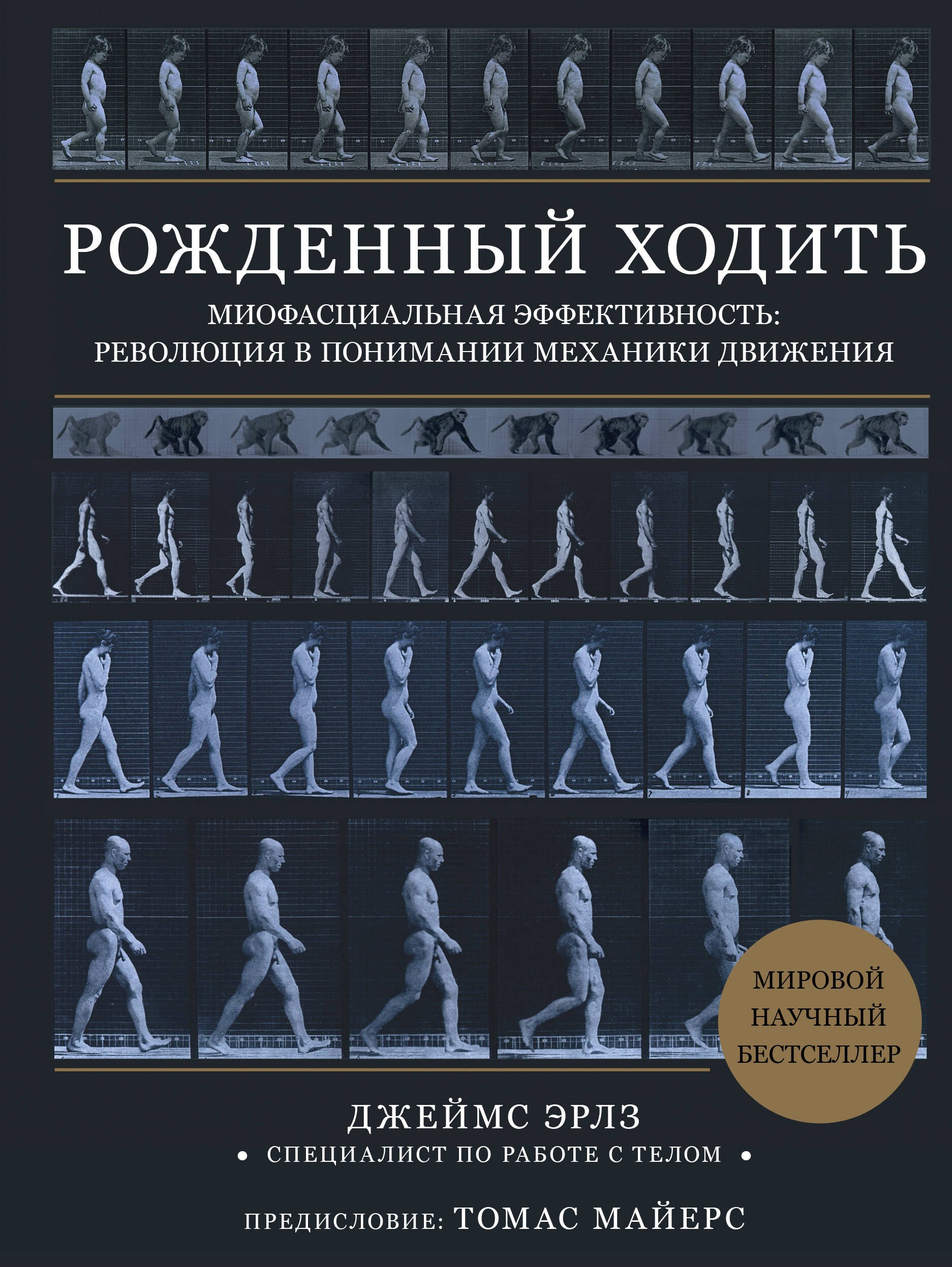 Рожденный ходить. Миофасциальная эффективность: революция в понимании механики движения
Рожденный ходить. Миофасциальная эффективность: революция в понимании механики движения