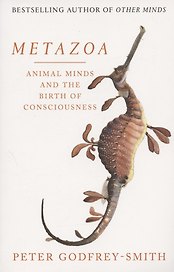Metazoa