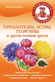 Хризантемы, астры, георгины и другие осенние цветы