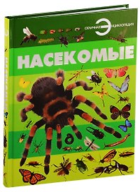 Насекомые
