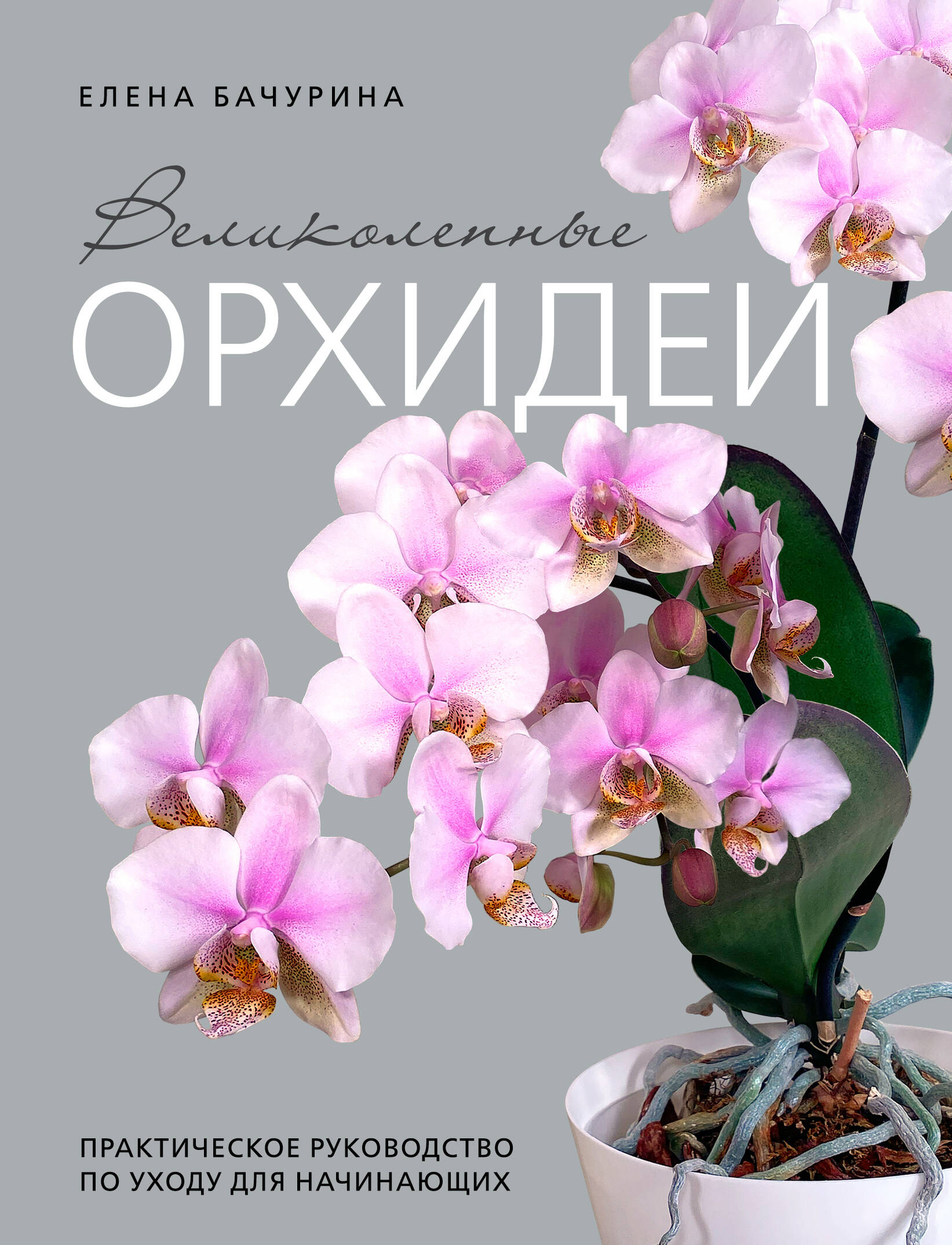 Великолепные орхидеи. Практичное руководство по уходу для начинающих
Великолепные орхидеи. Практичное руководство по уходу для начинающих