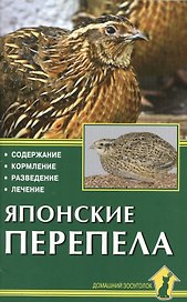 Японские перепела. Содержание, кормление, разведение, лечение