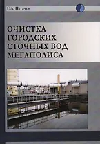 Очистка городских сточных вод мегаполиса