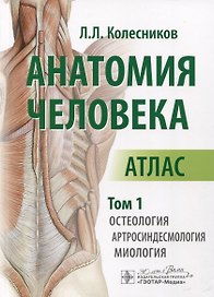 Анатомия человека. Атлас. В 3 томах. Том 1. Остеология, артросиндесмология, миология