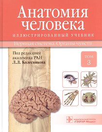 Анатомия человека.Т.3-Нервная система.Органы чувств.Учебник в 3 томах