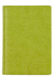 Ежедневник, ТМАдъютант А5 (15*21см) 352стр. н/датир. Светло-зеленый