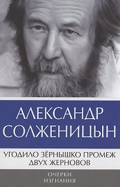 Угодило зернышко промеж двух жерновов: Очерки изгнания