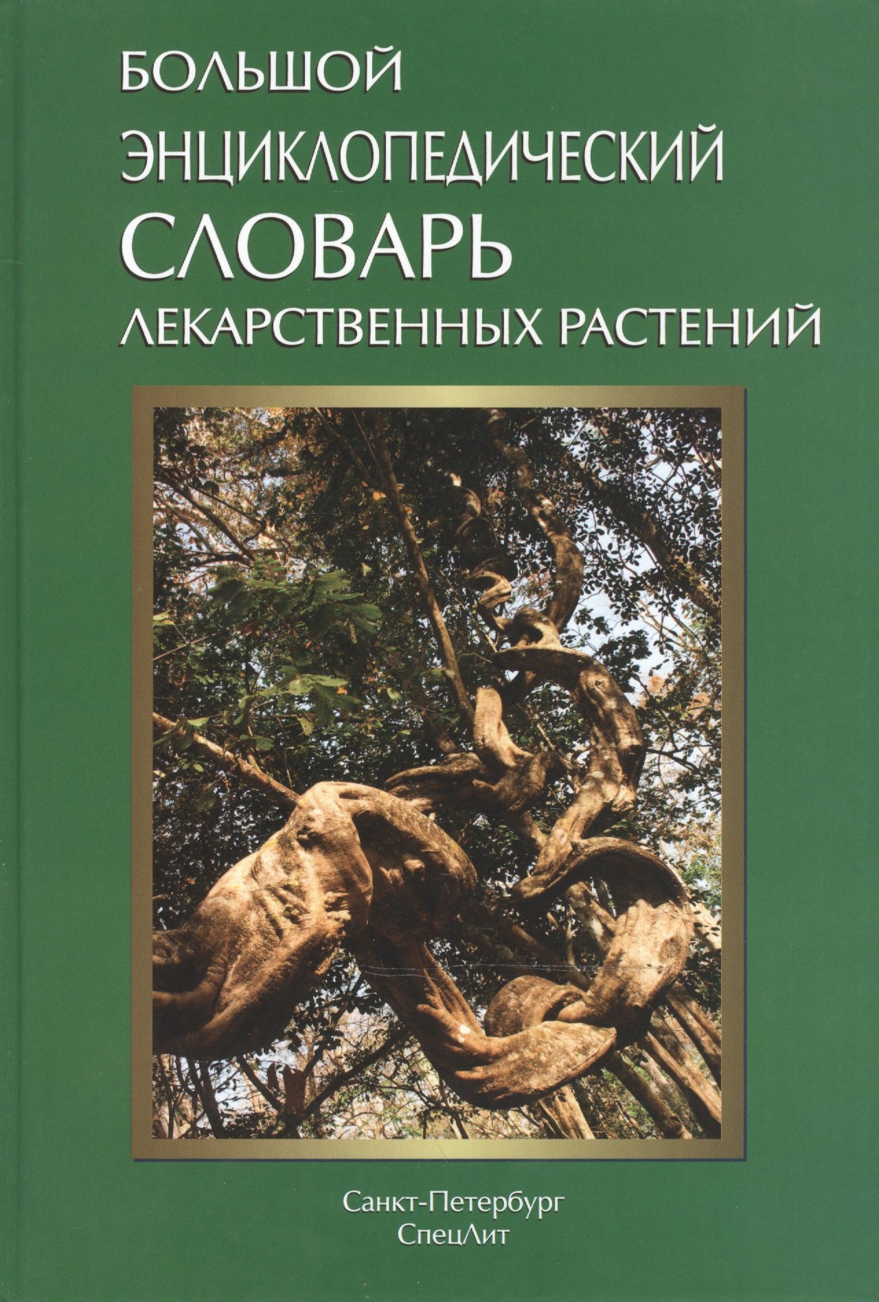 Большой энциклопедический словарь лекарственных растений: учебное пособие / 3-е изд., испр. и доп.
Большой энциклопедический словарь лекарственных растений: учебное пособие / 3-е изд., испр. и доп.