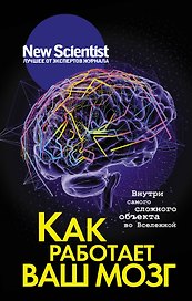 Как работает ваш мозг