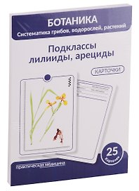 Ботаника. Систематика грибов, водорослей, растений. Подклассы лилииды, арециды. 25 карточек