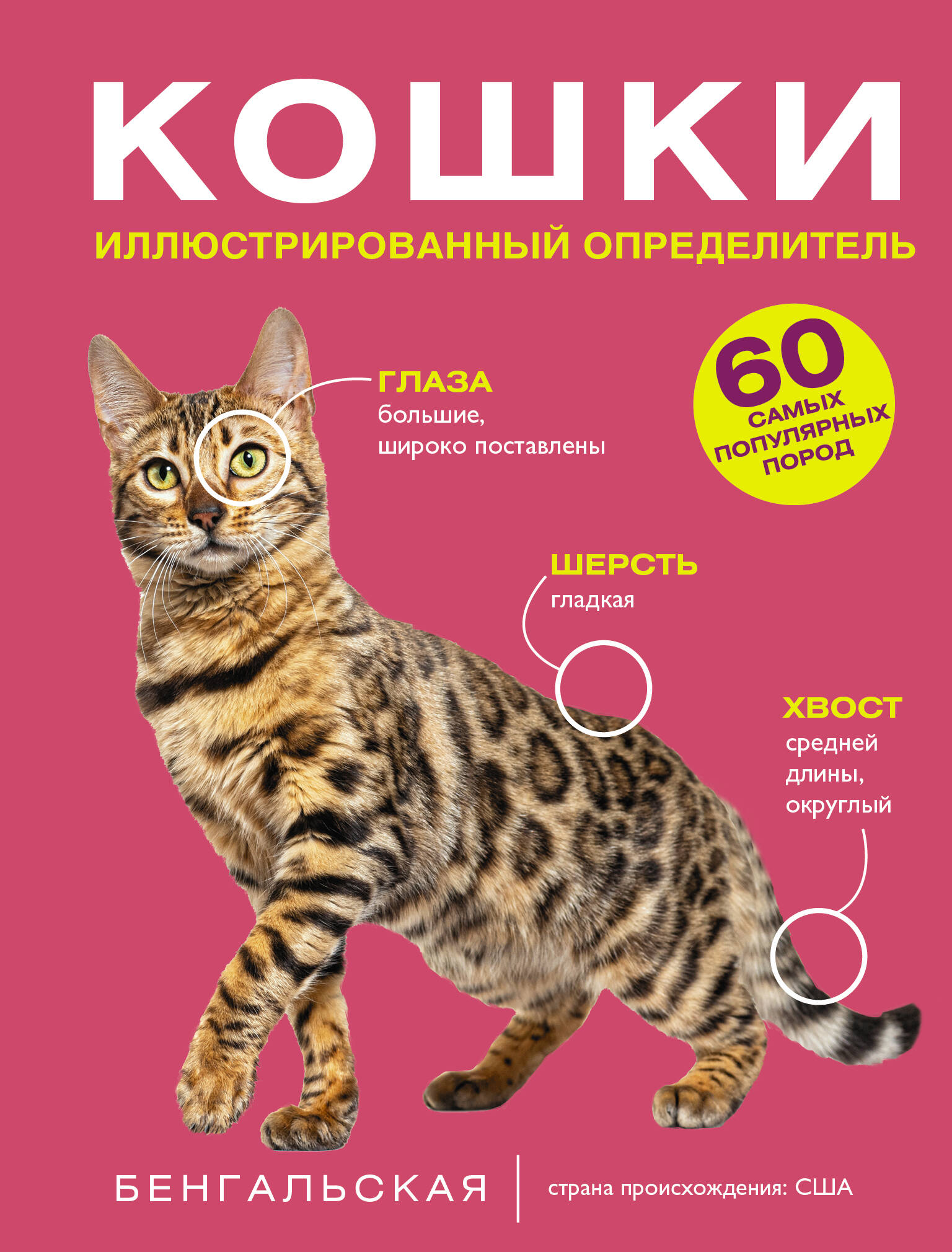 Кошки. 60 самых популярных пород. Иллюстрированный определитель
Кошки. 60 самых популярных пород. Иллюстрированный определитель