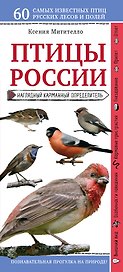 Птицы России. Наглядный карманный определитель