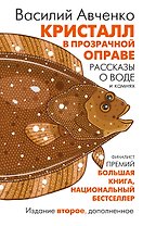 Кристалл в прозрачной оправе