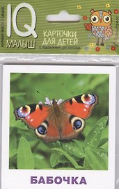 Умный малыш. Насекомые