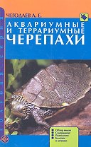 Аквариумные и террариумные черепахи. Обзор видов.