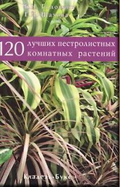 120 лучших пестролистных комнатных растений